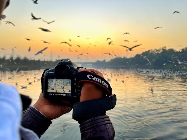 Best Compact Cameras for Travel Photography